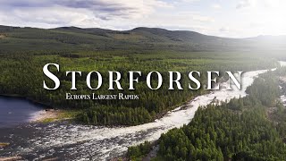 Exploring Europes LARGEST rapids Storforsen [upl. by Leynwad]