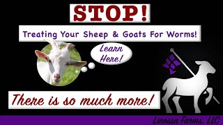 Stop Worming Your Sheep and Goats Start Treating Sheep and Goats for Parasites [upl. by Hazelton]