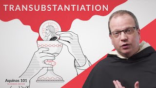 Transubstantiation Aquinas 101 [upl. by Swithbart156]