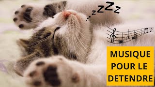 Musique RELAXANTE pour CHATS STRESSÉS 🐱🎶 Détendez votre CHAT [upl. by Lytton602]