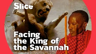 How men get along with the king of animals  SLICE [upl. by Dowski]