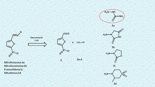 Nitrofuranos antibacterianos tripanocidas análisis retrosintético [upl. by Enovaj]