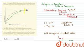 A student was performing an experiment to understand the enzymesubstrate reaction The student [upl. by Arin]