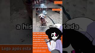 DESMISTIFICANDO VIDEOS  391 medo terrors desmistificando [upl. by Erda340]