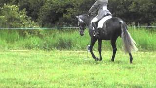 Novice 30 Dressage test [upl. by Dixie]