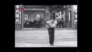 Choy Li Fut quotMon Gee Kuenquot 蔡李佛 萬字拳 [upl. by Jere]