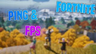 Fortnite PING amp FPS Anzeigen Lassen  So geht´s [upl. by Kalman]