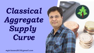 Classical Aggregate Supply Curve in Hindi [upl. by Tewfik35]