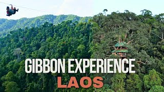 GIBBON EXPERIENCE LAOS  4K [upl. by Fatsug]