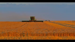 The transformation of the West Australian Sand plain country from 1t ha to 4t ha over 50 years [upl. by Cutler]