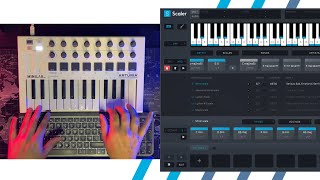 Use Scaler 2 to Automatically Transpose Melodic MIDI Based on Your Chords [upl. by Neellok989]