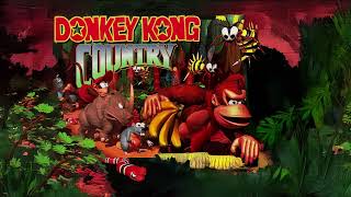 Donkey Kong Country  Fear Factory  3l3ktr0 edit part 01 [upl. by Tsui]