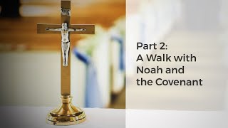 Bible Basics for Catholics  Noahic Covenant [upl. by Seaton]