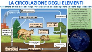 I CICLI GEOCHIMICI [upl. by Navnod]