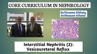 Interstitial Nephritis 2 Vesicoureteral Reflux DrOssama Elkholy [upl. by Ulrick]