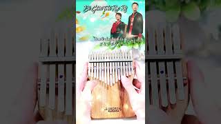 Đi Giữa Trời Rực Rỡ Kalimba shorts kalimba trending [upl. by Eneleahs]