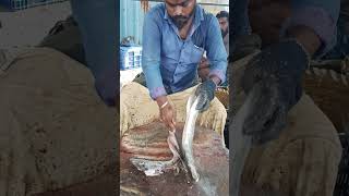 Ribbonfish kasimedu fishcuttingskills seashades [upl. by Rosita]