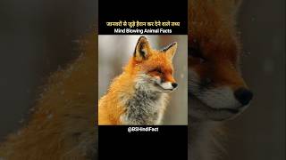 Mind Blowing Animal Facts Part8 shorts facts [upl. by Mcquoid]