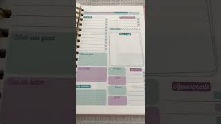 Affordable planner from Amazon  Beautiful planner [upl. by Marfe]