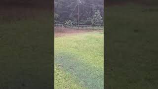 Reidsville Ga 8624 Aftermath of major storm on Deloris Street property [upl. by Netsyrc18]