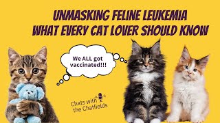 Unmasking Feline Leukemia  What Every Cat Lover Should Know [upl. by Odlaw813]