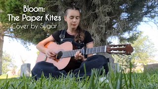 Bloom The Paper Kites Cover by Sugar [upl. by Iain]