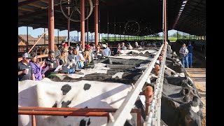 2023 Select Sires Trusted Advisors Conference Dairy Tour [upl. by Elly584]