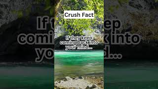 Crush Fact [upl. by Abram]