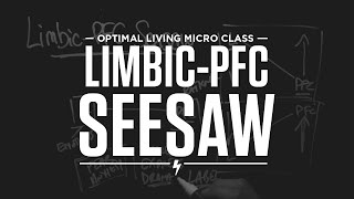 Micro Class LimbicPFC Seesaw [upl. by Jedthus]