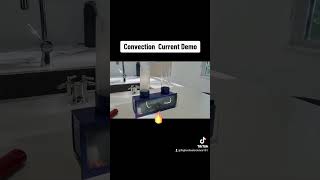 Visual Demo of Convection Currents scienceexperiment [upl. by Ativoj836]