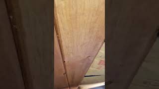 Straighten tongue amp groove pine ceiling in my home gym [upl. by Htebi]