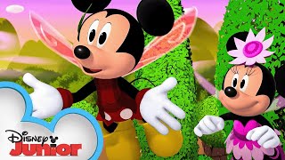 Minnies Fairy Tale  S1 E9 Part 2  Full Episode  Mickey Mouse Funhouse  disneyjr [upl. by Claud]