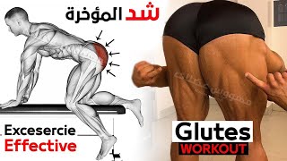 7 Best Exercise Glute Workout [upl. by Vasta430]