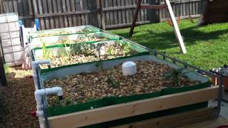 Mikes Aquaponics  Introduction to Aquaponics and Mikes First System  Part 1 [upl. by Barnum]