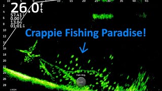 Fishing For Winter Crappie on Lake Darbonne FullScreen LiveScope Fishing Footage Trip 15 [upl. by Udelle]