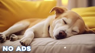 12 Hours Anti Anxiety Music For Dogs 🐶 Stress Relief Music For Dogs ♬ Calming Music For Dogs [upl. by Noived]