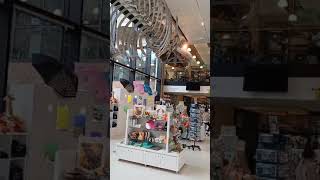 university Zoology museum cambridge Nov 2024 zoology tourism education science shopping [upl. by Nosredna]