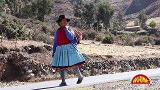 LOS MANANTIALES DEL PERU Me olvide tu nombre Huayno Ayacucho [upl. by Vyky796]