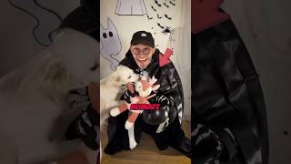 Ich habe das LIEBLINGSSPIELZEUG von meinem Hund entführt👻🙀 vlog hund halloween2024 [upl. by Nanji]