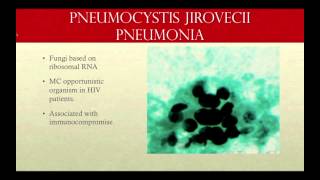 Approach to the patient with Pneumocystis pneumonia [upl. by Yeslaehc]