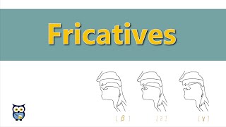 Fricatives [upl. by Losyram311]