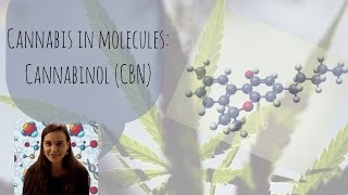 Cannabis in Molecules Cannabinol CBN [upl. by Straus106]