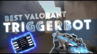 VALORANT TRIGGERBOT NO BAN  FREE [upl. by Seabrooke]