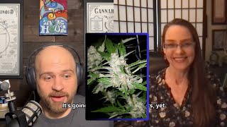 Hermaphrodite Cannabis Plants  Janna Champagne [upl. by Peednas]