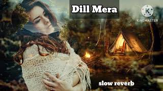 Dil mera tenunew song 2024 [upl. by Yesima816]