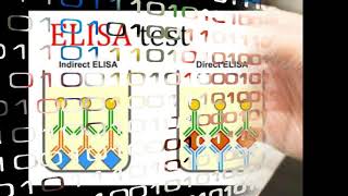 ELISA TEST क्या है यह क्यो किया जाता है [upl. by Fari]