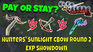 Pay or Stay 52  Hunter Sunlight vs Dragon CBow vs Toxic Blowpipe  OSRS NMZ [upl. by Jaime531]