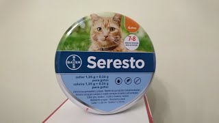 seresto cat flea collar review in 2023 [upl. by Mackintosh886]