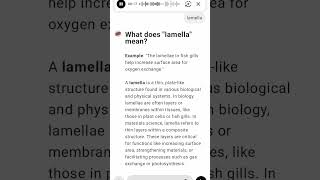 What does quotlamellaquot mean [upl. by Trovillion650]