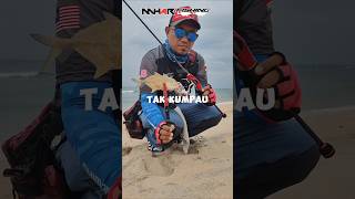 Teknik Ajing Fishing 100X Casting ajing ajingfishingmalaysia [upl. by Lizzy]